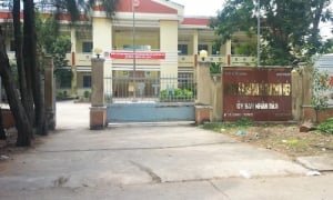 TP HCM: Kiến Gia Hưng tiếp tục trúng gói thầu hơn 7 tỷ