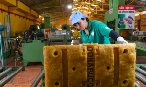 Những khoản đầu tư thua lỗ của Tổng Công ty Cao su Đồng Nai