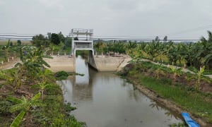 Phượng Thư – Long An thi công cứng hóa đê bao bờ Bắc K17