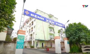 Gian lận hồ sơ thuế: Công ty Bắc Việt bị cấm thầu 3 năm