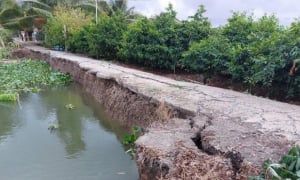 Ngọc Vịnh dồn dập trúng thầu trong nửa đầu năm 2025