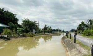 2 tháng Cường Nam trúng 3 gói thầu tại Trung tâm Thủy lợi và Nước sạch Tây Ninh