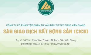CIC bị phạt nặng gần 300 triệu đồng: Loạt giao dịch 'mờ ám', không công bố thông tin