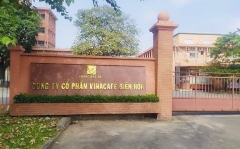Vi phạm quy định bảo vệ môi trường, Vinacafé Biên Hòa bị phạt 320 triệu đồng