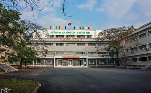 ĐH Nông Lâm TP HCM: Gói thầu sửa chữa khu nội trú tiết kiệm được 17 triệu đồng