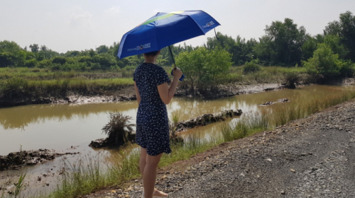 Đất Cần Giờ lại nóng