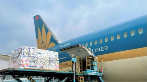 Gần 90 tấn quả vải 'cưỡi' máy bay Vietnam Airlines đi xuất khẩu