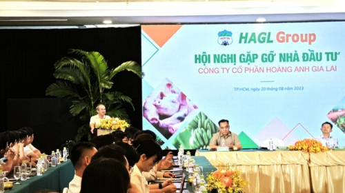 Bầu Đức khoe vườn sầu riêng 1.200 ha siêu lợi nhuận