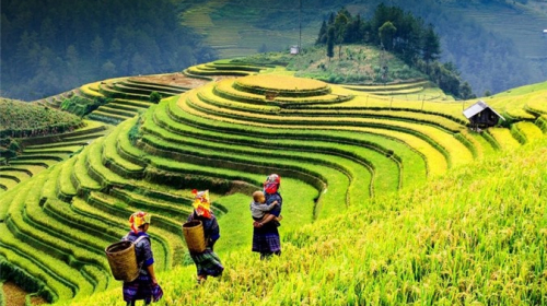 5 địa điểm nổi tiếng ở các vùng nông thôn Việt Nam