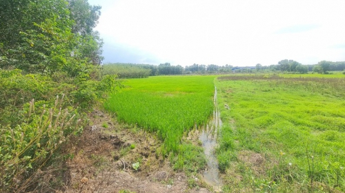 Thiện Tân (Vĩnh Cửu, Đồng Nai): “Vẽ quy hoạch đường” chỉ để phục vụ phân lô đất nông nghiệp?