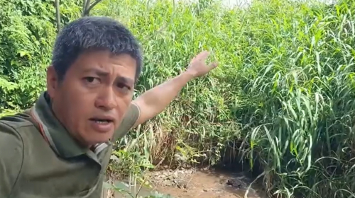 Nhà máy khoai mỳ Toàn Năng xả thải có đúng quy định?