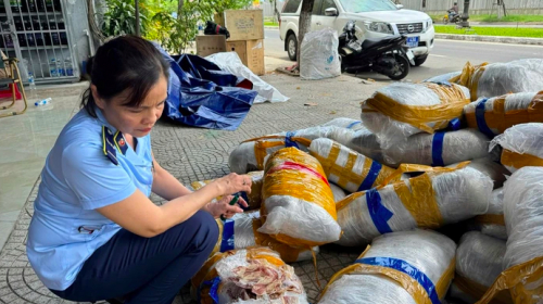 Đà Nẵng: Phát hiện 700 kg mực khô vô chủ trên vỉa hè