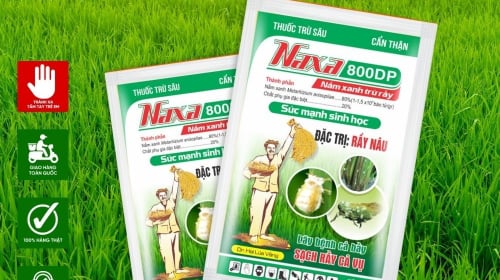 Gói thầu cung cấp thuốc bảo vệ thực vật tại Long Mỹ về tay ai?
