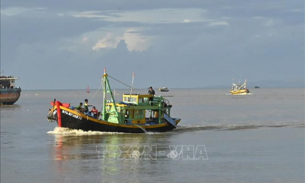 Bình Thuận: Hỗ trợ chi phí nhiên liệu cho tàu cá khai thác xa bờ