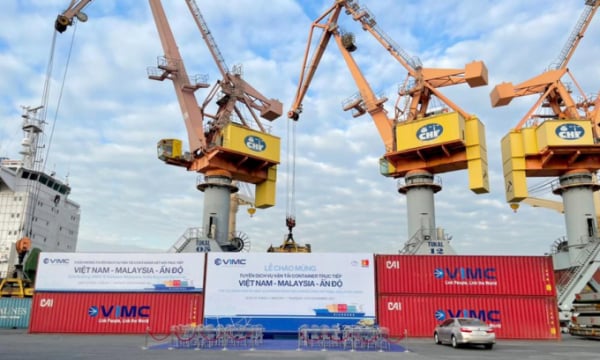 Hãng tàu đầu tiên của Việt Nam tham gia vận tải container đường dài