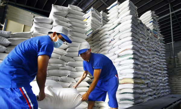 Xuất khẩu gạo đón “làn sóng” phục hồi
