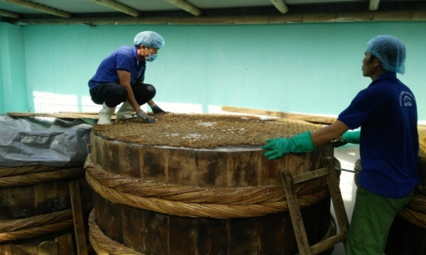 Làng nghề nước mắm truyền thống Khúc Phụ tất bật vào vụ Tết