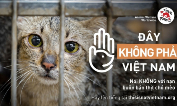 Phát động chiến dịch chấm dứt nạn buôn bán chó, mèo tại Việt Nam