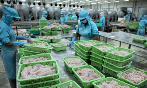  Xuất khẩu nông sản: Kỷ lục chưa từng có, thế mạnh Việt Nam thu về gần 49 tỷ USD
