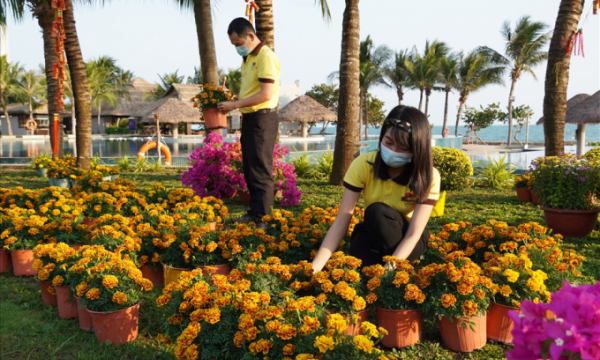 Bà Rịa - Vũng Tàu: Cơ sở du lịch đã sẵn sàng đón khách du xuân