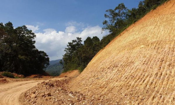 Ngang nhiên san ủi, hủy hoại hơn 15ha rừng đặc dụng để làm đường