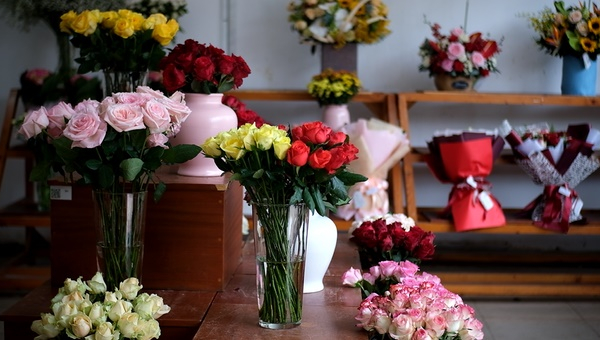 Giá hoa hồng Đà Lạt tăng kỷ lục trước ngày Valentine