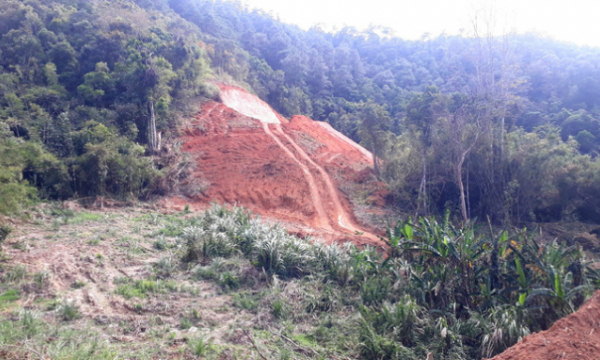 Yêu cầu dừng phá rừng để mở đường ở Vườn Quốc gia Bidoup - Núi Bà