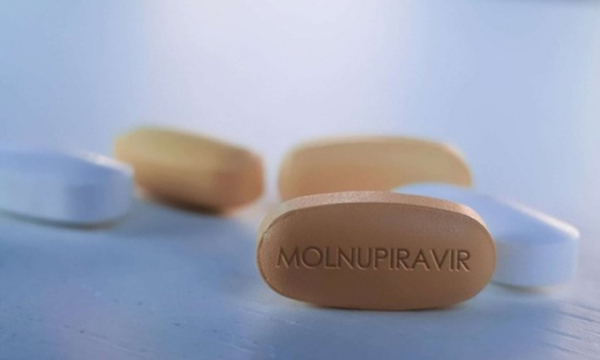 Bộ Y tế: Không sử dụng Molnupiravir quá 5 ngày liên tiếp
