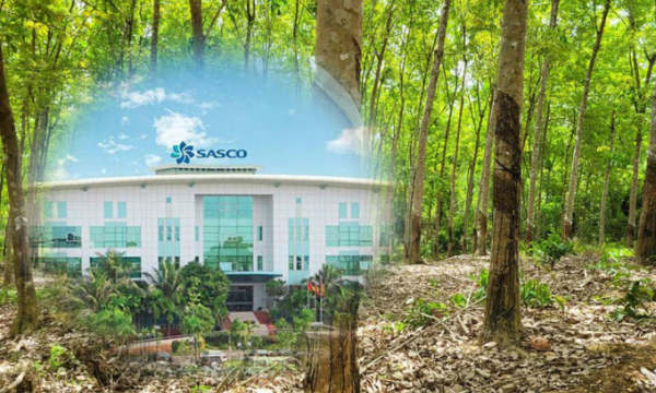 Sasco “sa lầy” vào dự án ở Bình Phước như thế nào?