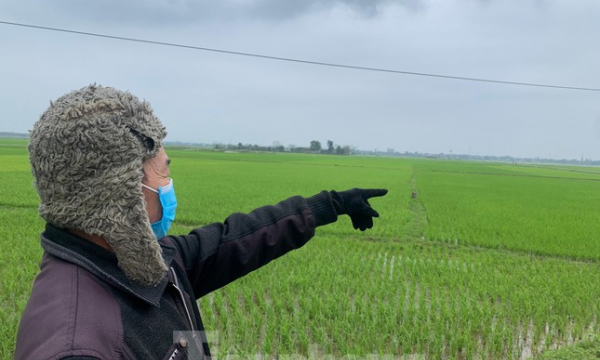 Hà Tĩnh: Dân sửng sốt vì đất nông thôn có giá khởi điểm 'trên trời'