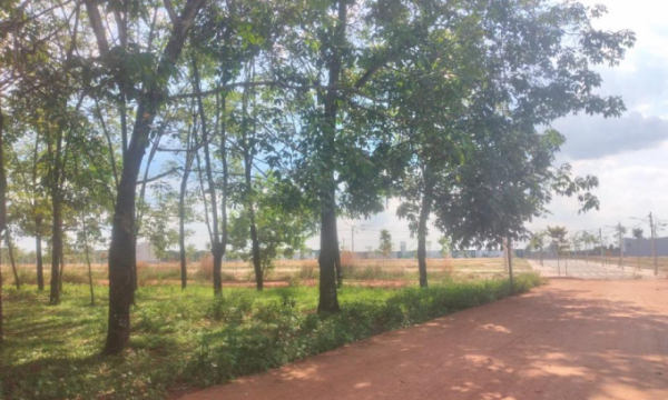 Bình Phước: Tạm dừng tách thửa đất nông nghiệp tại TP Đồng Xoài