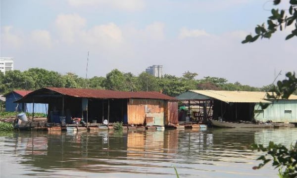 Xóa sổ làng bè trên sông Đồng Nai