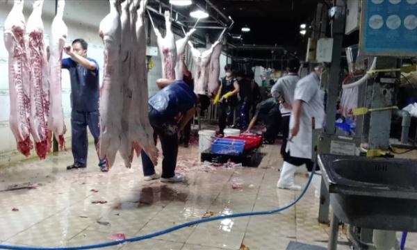 Vụ thịt heo bẩn: Tạm ngưng công tác kiểm soát giết mổ 2 nhân viên thú y