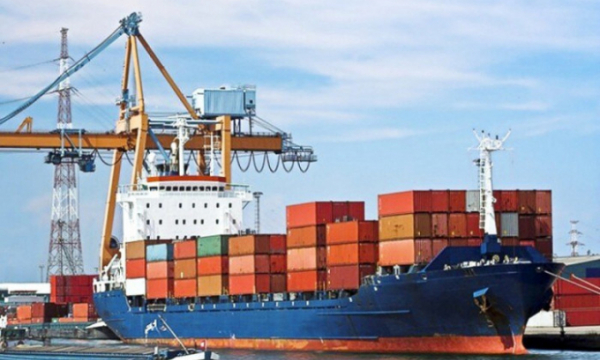 Hàng chục container điều bị lừa xuất khẩu sang Italia giờ ra sao?