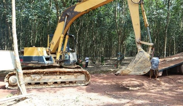Truy tìm phương tiện đổ trộm khoảng 20 tấn rác thải trong vườn cao su