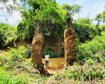 Đề xuất không mở đường đi xuyên qua rừng