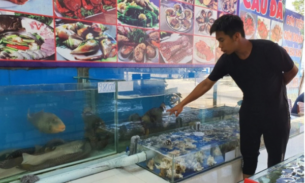 22 người ăn hải sản hết 42 triệu đồng: Các quán nói giá 'quá chát