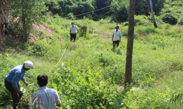 Phú Yên: Nghi án san gạt đất rừng sản xuất để... phân lô, bán nền