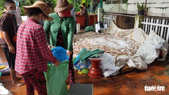  Hàng trăm tấn cá làng bè Châu Đốc chết hàng loạt, nghi nguồn nước ô nhiễm