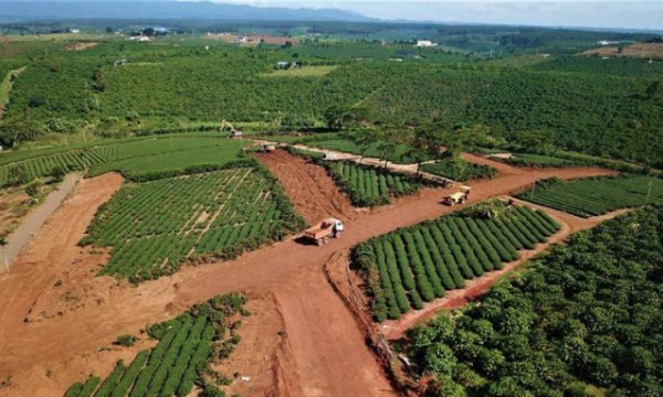 Huyện Di Linh (Lâm Đồng): Một số trường hợp tự ý mở đường, làm biến dạng đất lâm nghiệp