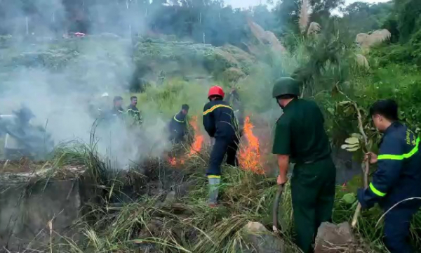 Đà Nẵng: Nhậu rồi hút thuốc, vứt tàn gây cháy ở bán đảo Sơn Trà