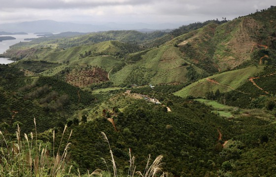 Vụ mất hơn 2000ha rừng ở Đắk Nông: Chỉ yêu cầu “kiểm điểm rút kinh nghiệm”