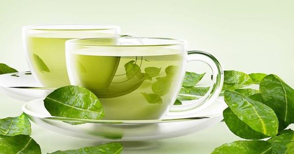 Uống trà xanh và trà đen có thể làm giảm nguy cơ mắc ung thư