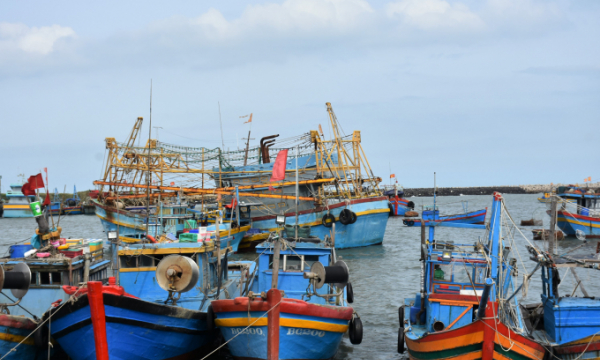 Bà Rịa - Vũng Tàu: Xử lý nghiêm tàu cá vi phạm vùng biển nước ngoài
