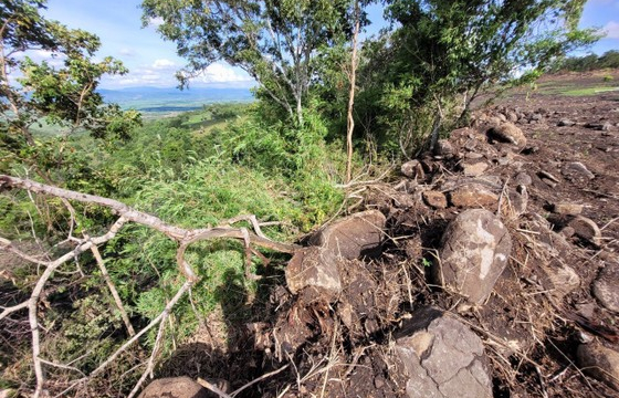 Lâm tặc “xẻ thịt” hơn 3,1ha rừng phòng hộ ở núi Hbông
