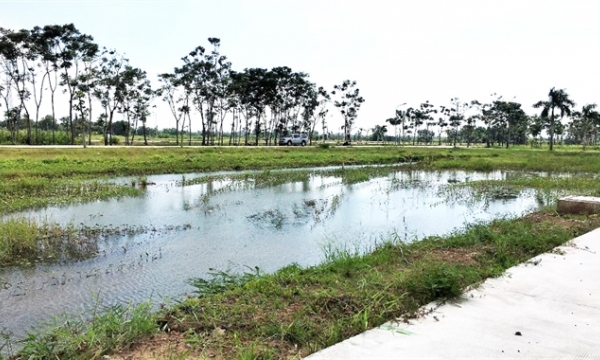 Huyện Bình Chánh ra 'tối hậu thư' cho 90 dự án nhà ở chậm tiến độ