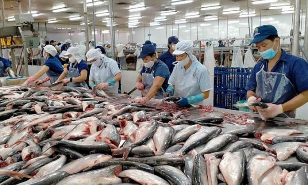 Xuất khẩu cá, tôm đón 'tin vui' tại thị trường Trung Quốc
