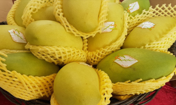 Trung Quốc không đặt tỉ lệ kiểm dịch trái cây Việt Nam cao hơn các nước