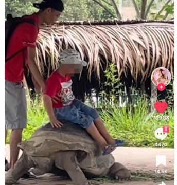 Nhóm khách ngồi lên rùa ở sở thú Long An