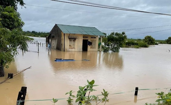 Mưa lớn gây ngập 50 căn nhà và hơn 1.000ha ở Đắk Lắk